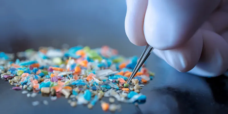 Microplastics analysis: A range of primary and secondary microplastics including pellets, fibers, and fragments being inspected with tweezers by a gloved hand in a laboratory setting