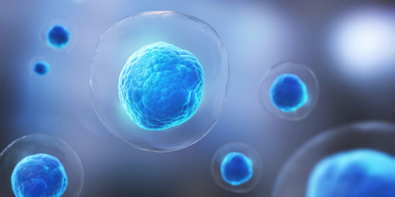 Advancing Single-Cell Elemental Analysis with ICP-MS and Microdroplet ...