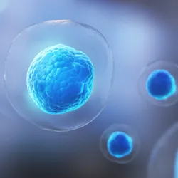 3D illustration of individual cells in a fluid environment, representing the concept of single-cell analysis for studying cellular structures and functions.