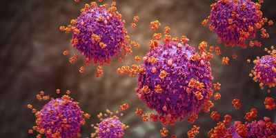 Illustration of viral particles representing pathogen targets in the antigen discovery process, highlighting immune system interaction and molecular screening.
