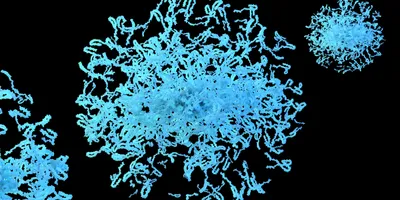 3D rendering of tangled blue protein structures on a black background, representing formations observed during protein aggregates analysis.