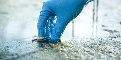 Pond water pollution concept. Scientist takes samples of dirty water from a pond into a test tube.