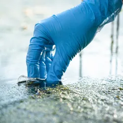 Pond water pollution concept. Scientist takes samples of dirty water from a pond into a test tube.