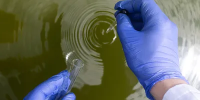 scientist taking water samples