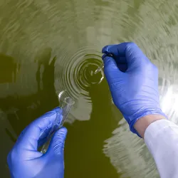 scientist taking water samples