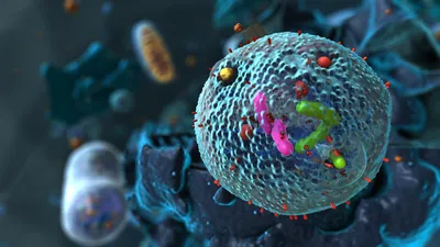 Detailed 3D illustration of an exosome carrying RNA and protein cargo, highlighting its use in exosome diagnostics and liquid biopsy analysis.