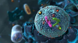 Detailed 3D illustration of an exosome carrying RNA and protein cargo, highlighting its use in exosome diagnostics and liquid biopsy analysis.