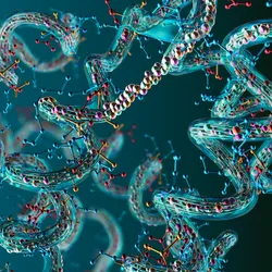 Complex peptide-like molecular structures representing large drug metabolites analyzed by LC-MS/MS
