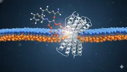3D molecular rendering of a GLP-1 receptor agonist interacting with a transmembrane protein embedded in a lipid bilayer, illustrating the structural complexity and amphiphilic nature of peptide therapeutics as they engage biological targets.