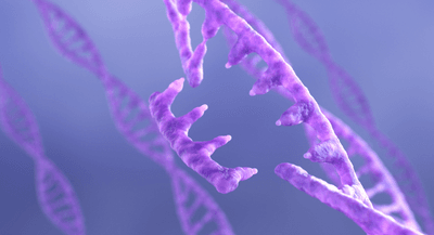 DNA and RNA concept on purple background