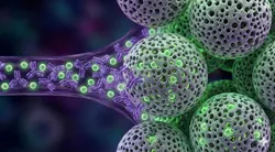 Conceptual illustration of size exclusion chromatography applications, showing large blue antibody molecules separating from smaller orange fragments as they flow through porous beads in a column.