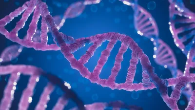 Purple DNA structure on blue background