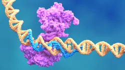 3D rendering of a CRISPR-Cas9 complex editing a DNA strand, illustrating the complex molecular targets of CRISPR analytics