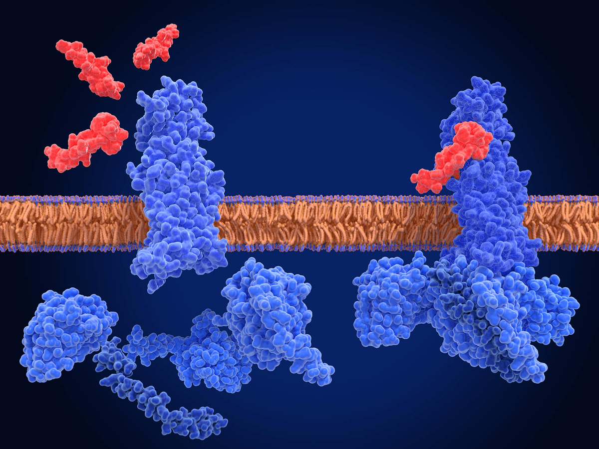 glp 1 coverage bcbs Perspectives from employers on the costs and issues associated with covering GLP-1 agonists for weight loss glp 1 coverage bcbs Perspectives from employers on the costs and issues associated with covering GLP-1 agonists for weight loss
