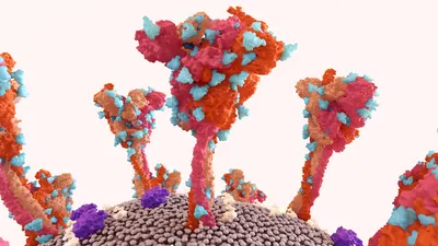 Glycan structures illustrating analytical validation techniques