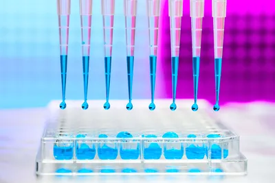 Automated pipetting system for laboratory workflows