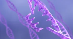 DNA and RNA editing concept on purple background