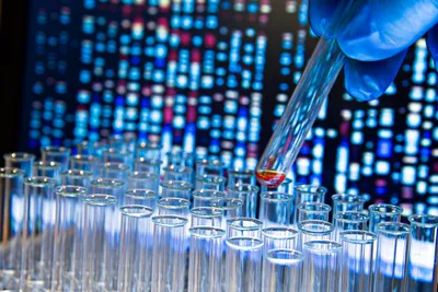 Application of AI-augmented toxicology in a lab setting