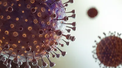 3D representation of viral vectors for quality control automation