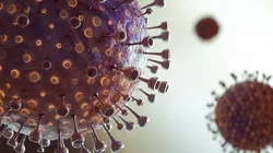 3D representation of viral vectors for quality control automation
