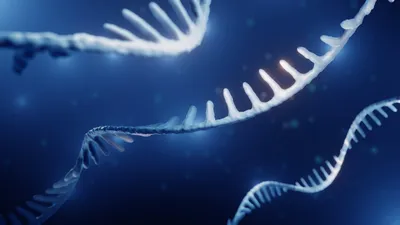 DNA strand on blue backgroun