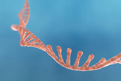 Illustration of RNA strand representing RNA-Seq workflow optimization