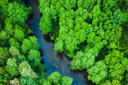 Aerial view of a lush green forest and river, symbolizing sustainable laboratories