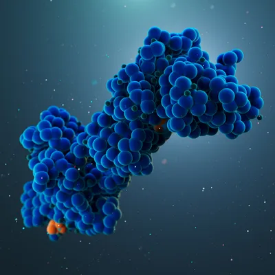 glp-1 for psoriatic arthritis GLP-1 and GIP: Magic bullet for musculoskeletal diseases?