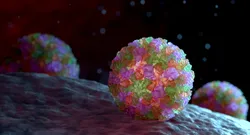 3D rendering of a multi-colored adeno-associated virus (AAV) capsid, highlighting structures critical to AAV manufacturing scale up.