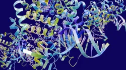 3D visualization of protein structures in top-down proteomics