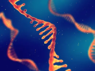 Illustration of RNA strands representing oligonucleotide structures