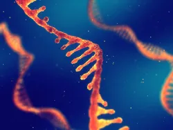 Illustration of RNA strands representing oligonucleotide structures
