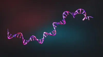 Illustration of oligonucleotide structure relevant to ion-pairing LC/MS