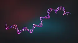 Illustration of oligonucleotide structure relevant to ion-pairing LC/MS