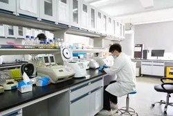 Scientist working in a laboratory focused on capillary electrophoresis techniques