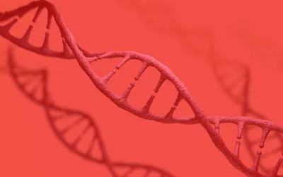 Representation of DNA strands on a red background.