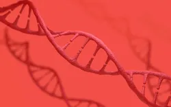 Representation of DNA strands on a red background.