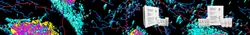 Theromo_Fisher_Scientific