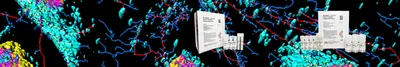 Thermo_Fisher