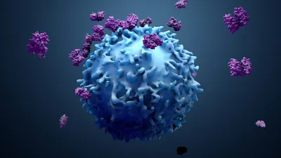 3D illustration of HLA-DQ antibodies interacting with a cell