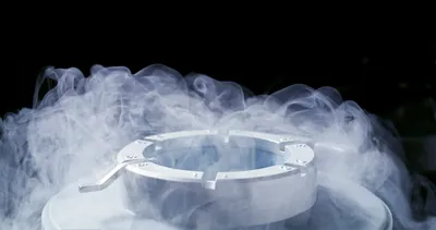 Cryopreservation equipment with vapor indicating PBMC processing