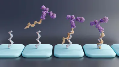 3D illustration of antibody-oligonucleotide conjugates