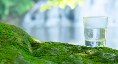 A glass of fresh natural water on top of rock with moss.