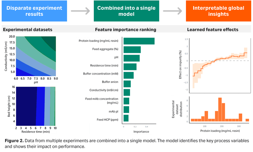 Aggregating disparate experimental datasets into a unified EBM model to rank feature importance and map specific feature effects across key bioprocess variables.