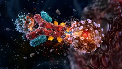 Illustration of antibody-drug conjugates (ADCs) targeting cancer cells