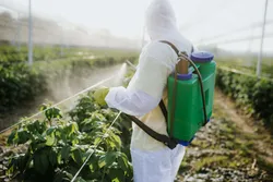 Person spraying pesticide in a green field representing comprehensive pesticide analysis.