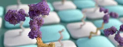 Antibody-oligonucleotide conjugates or AOC use in antibody arrays
