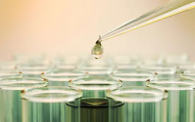 Droplet being prepared for solid phase extraction sample preparation
