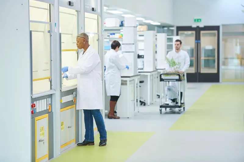 Laboratory staff ensuring proper chemical fume hood usage.