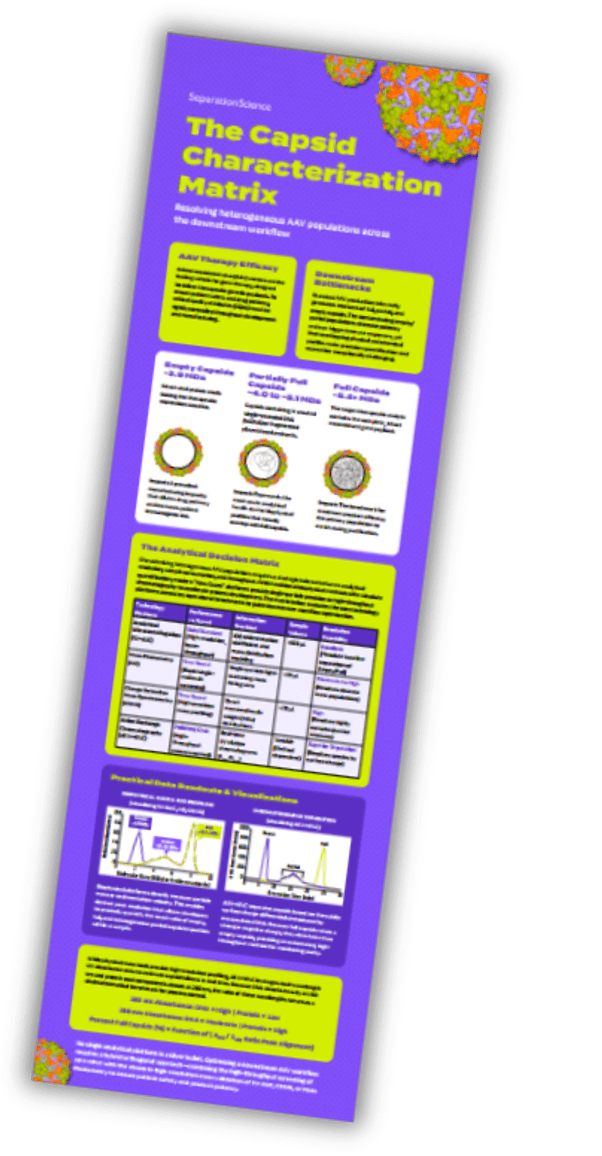 Infographic on AAV capsid characterization technologies and their comparison